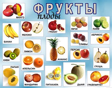 Овощи и фрукты для потенций